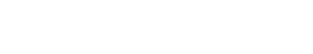 Netface logo